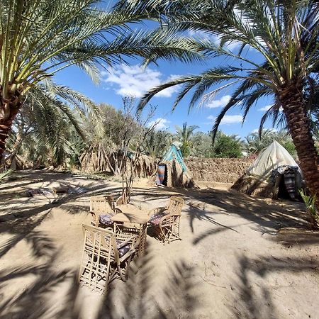Forest Camp Siwa - كامب الغابة Siwa Oasis Екстериор снимка