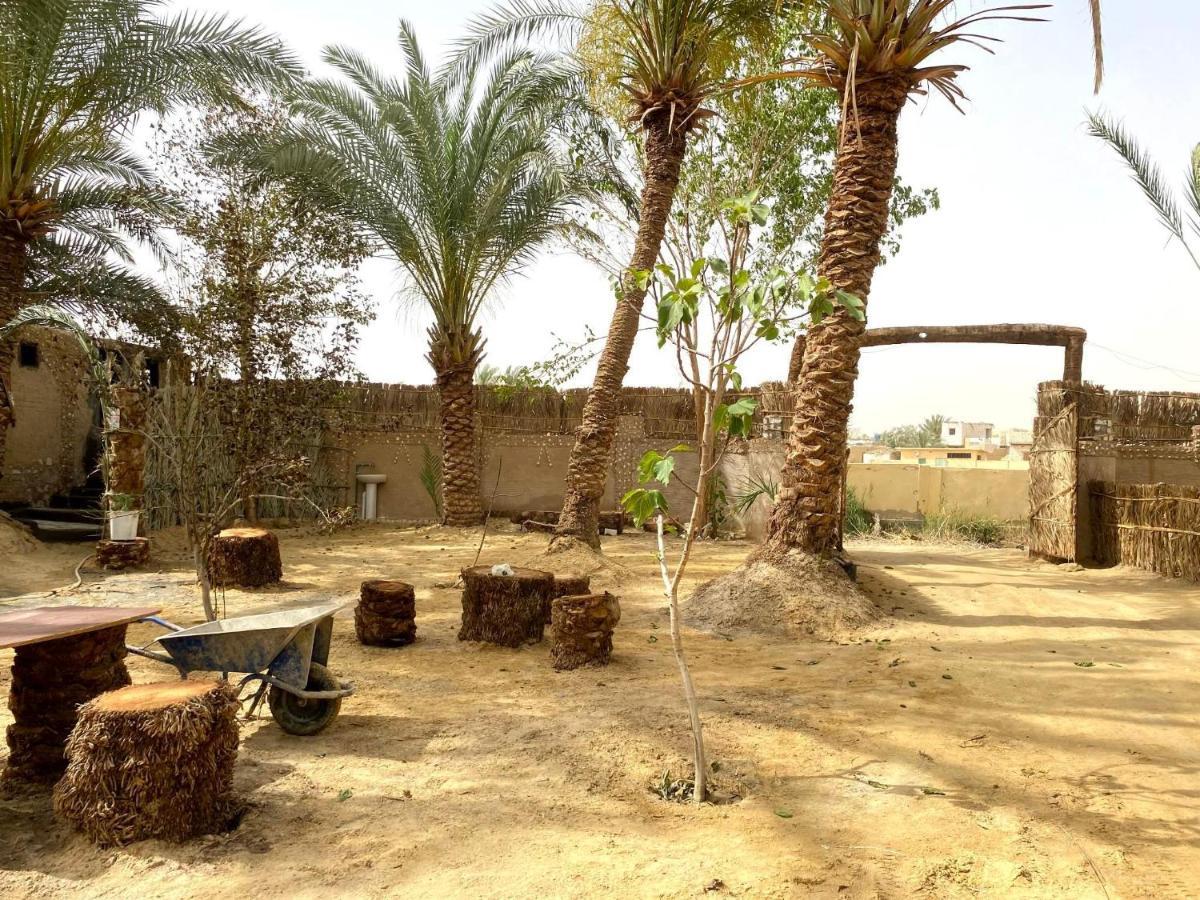 Forest Camp Siwa - كامب الغابة Siwa Oasis Екстериор снимка
