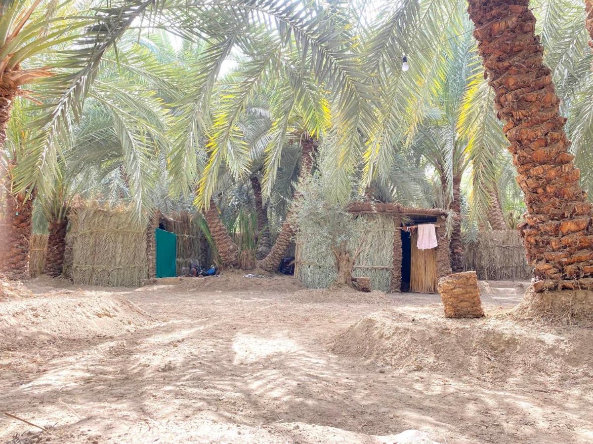 Forest Camp Siwa - كامب الغابة Siwa Oasis Екстериор снимка