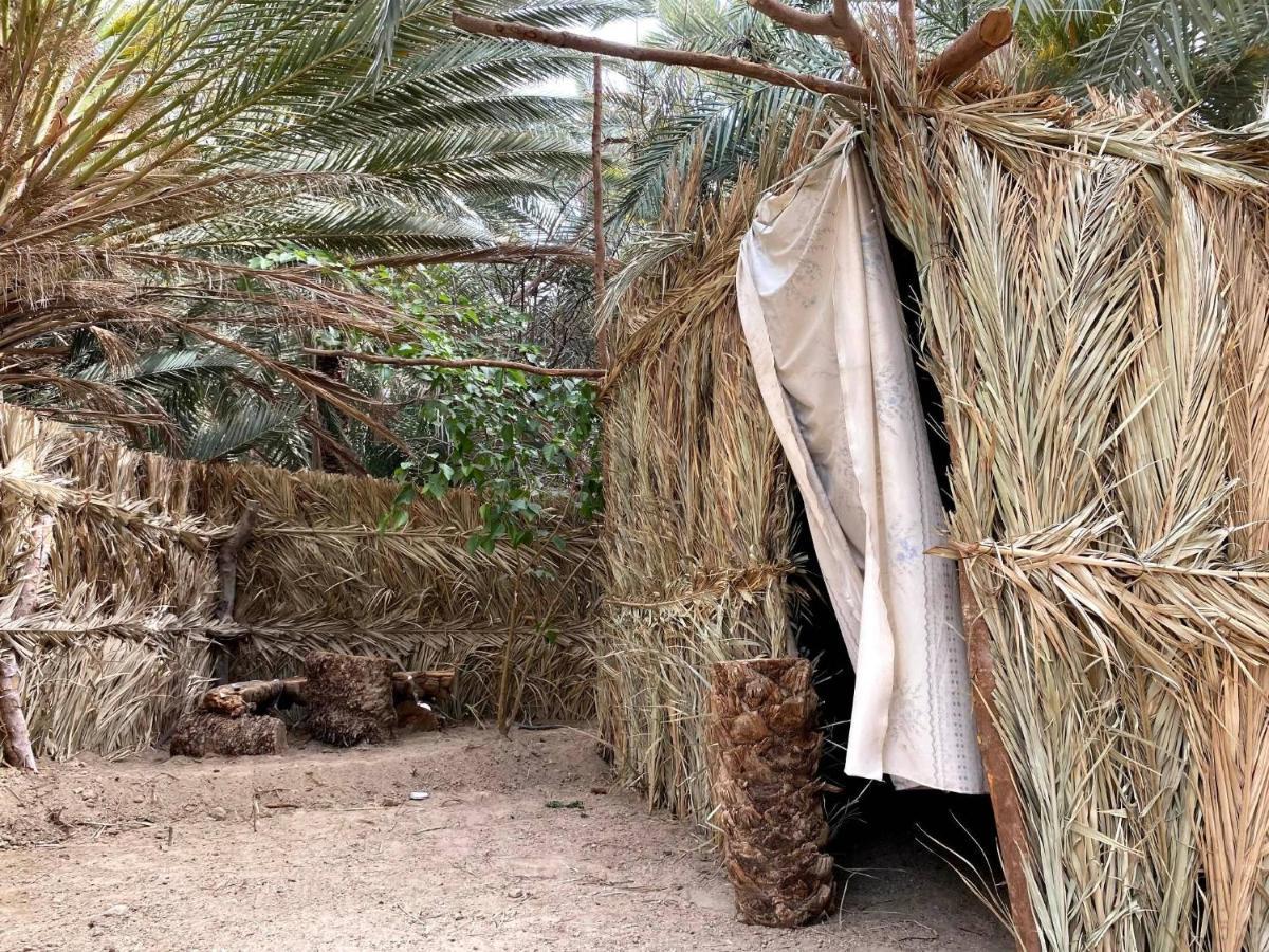 Forest Camp Siwa - كامب الغابة Siwa Oasis Екстериор снимка