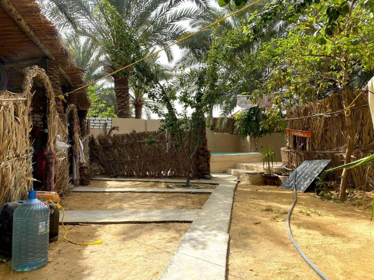 Forest Camp Siwa - كامب الغابة Siwa Oasis Екстериор снимка