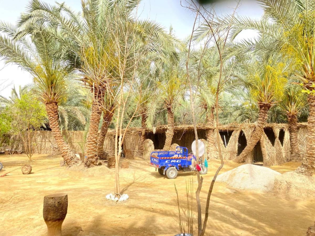 Forest Camp Siwa - كامب الغابة Siwa Oasis Екстериор снимка