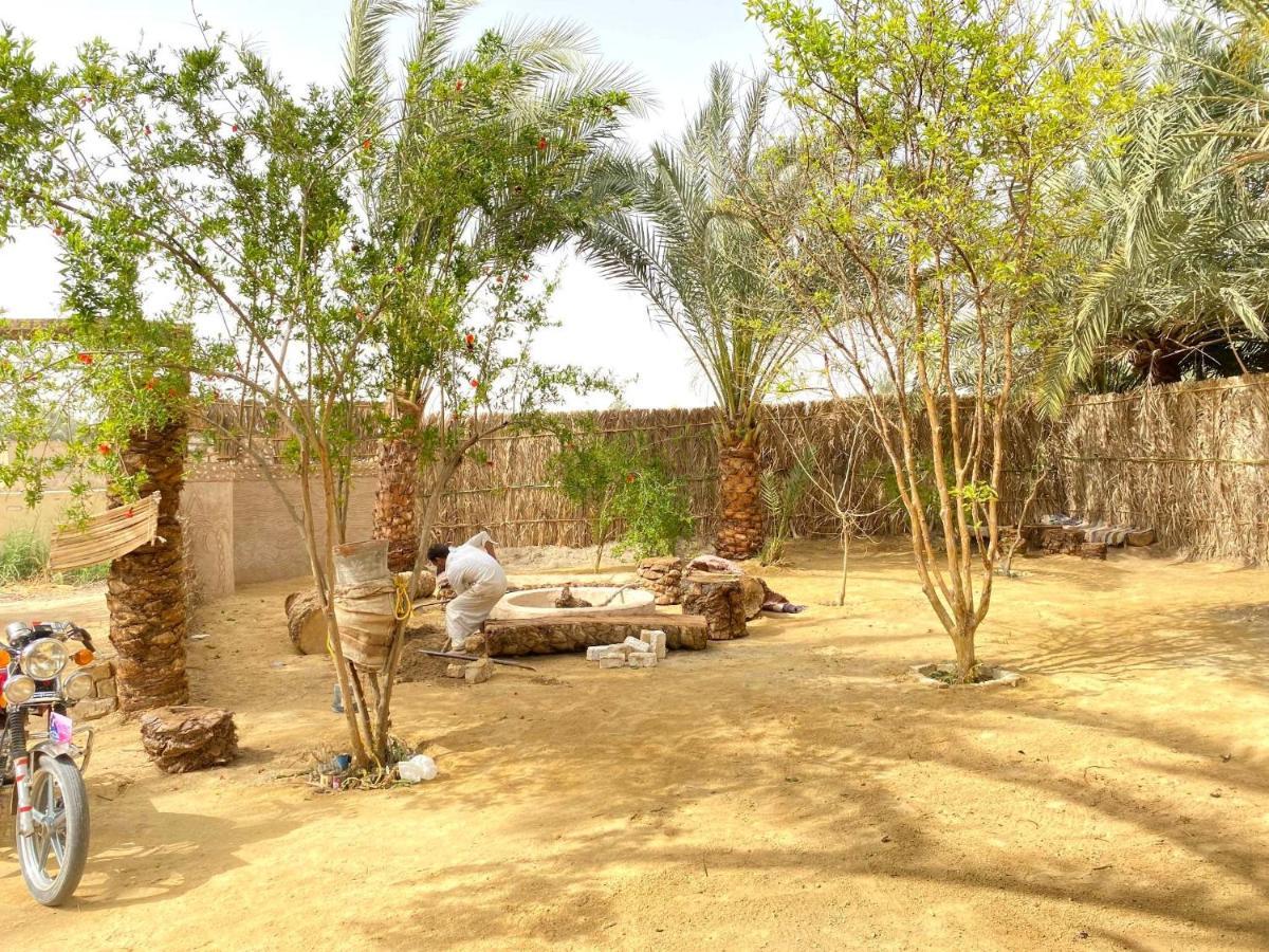 Forest Camp Siwa - كامب الغابة Siwa Oasis Екстериор снимка