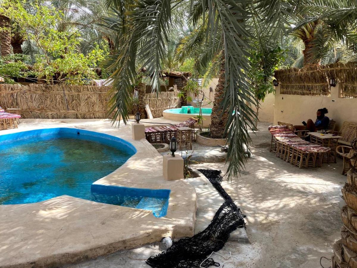 Forest Camp Siwa - كامب الغابة Siwa Oasis Екстериор снимка