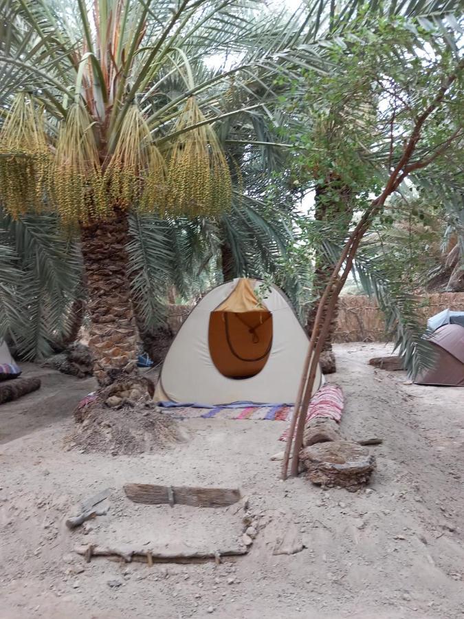 Forest Camp Siwa - كامب الغابة Siwa Oasis Екстериор снимка