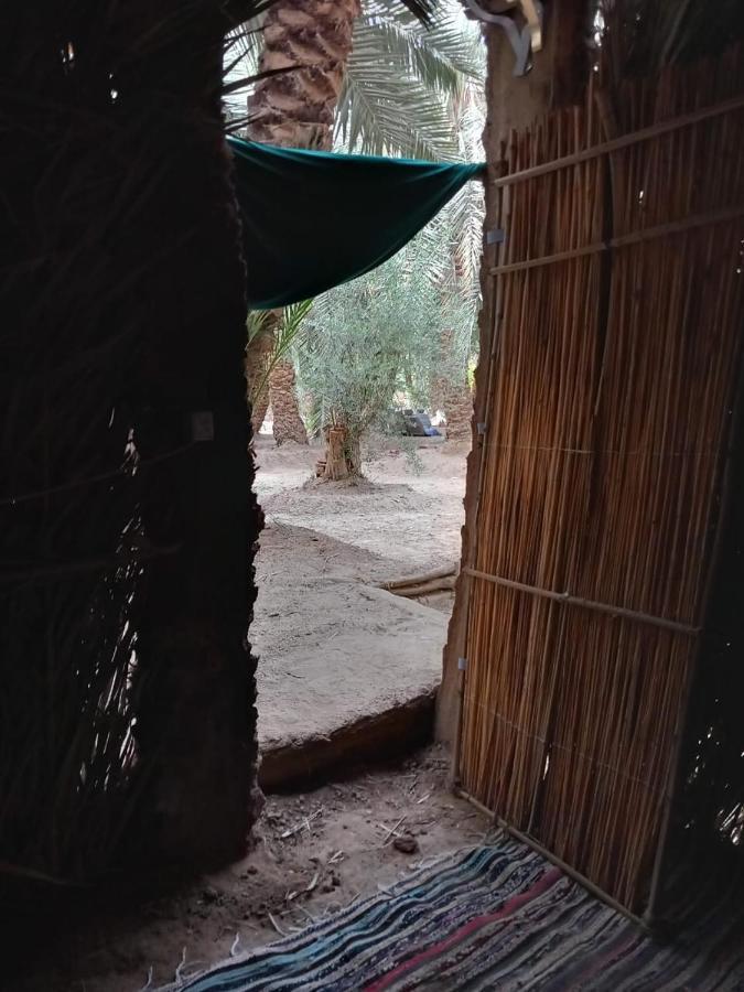 Forest Camp Siwa - كامب الغابة Siwa Oasis Екстериор снимка