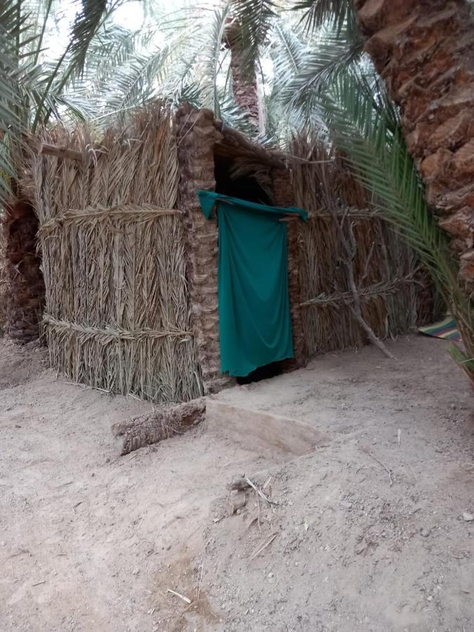 Forest Camp Siwa - كامب الغابة Siwa Oasis Екстериор снимка