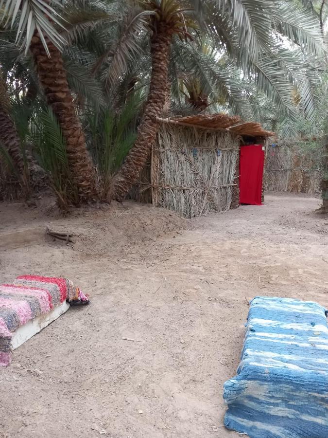 Forest Camp Siwa - كامب الغابة Siwa Oasis Екстериор снимка