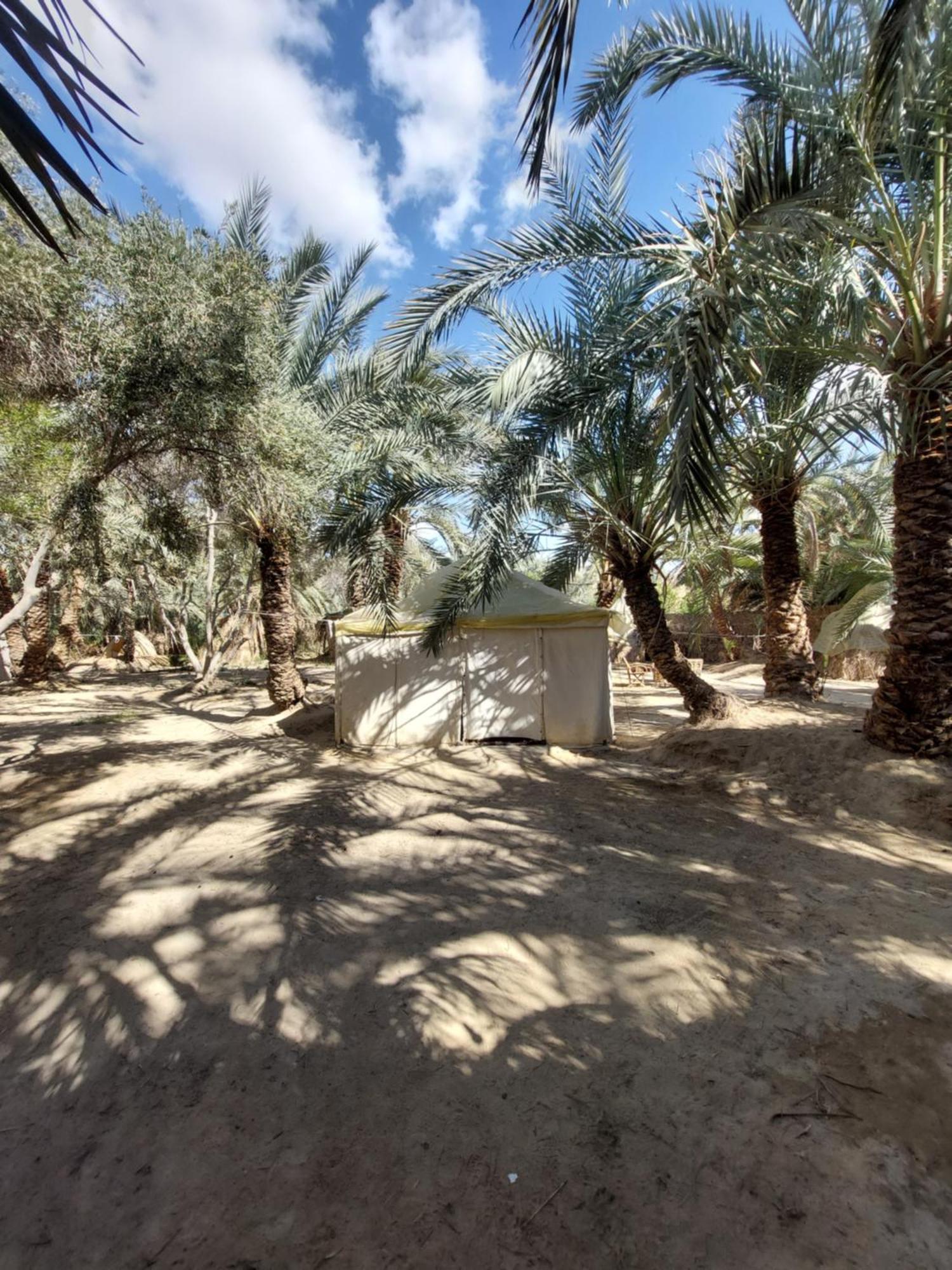 Forest Camp Siwa - كامب الغابة Siwa Oasis Екстериор снимка