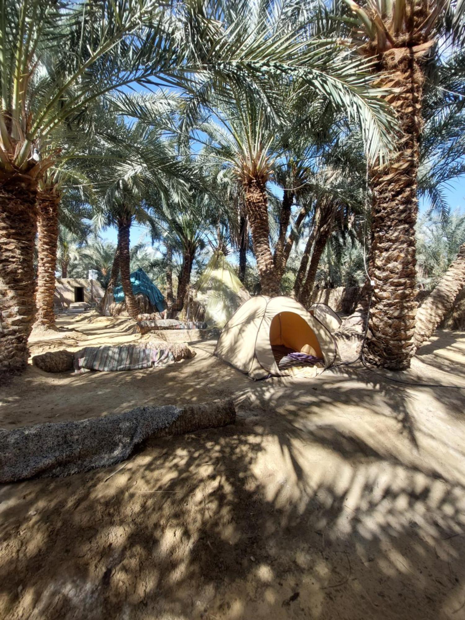 Forest Camp Siwa - كامب الغابة Siwa Oasis Екстериор снимка