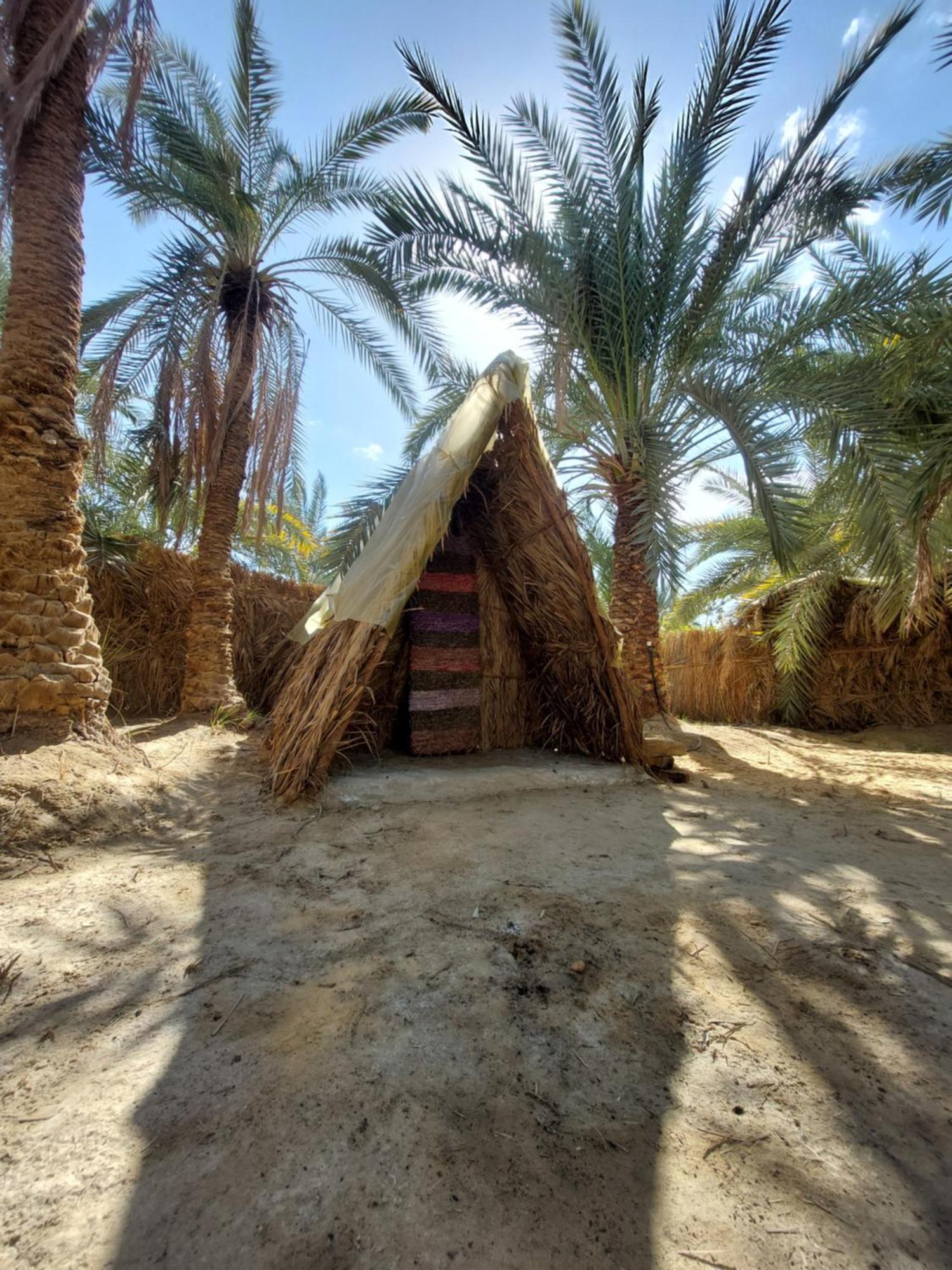 Forest Camp Siwa - كامب الغابة Siwa Oasis Екстериор снимка