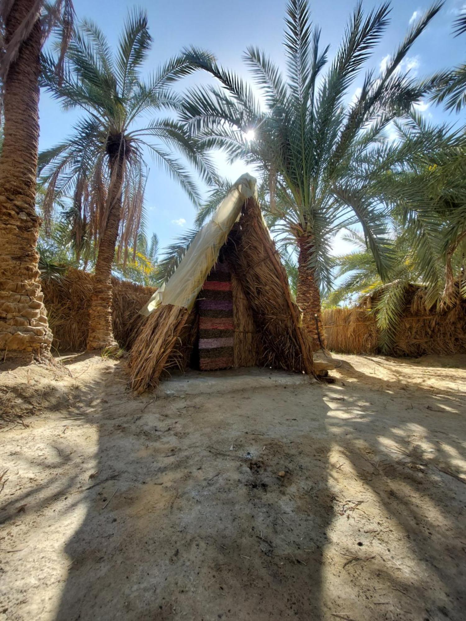 Forest Camp Siwa - كامب الغابة Siwa Oasis Екстериор снимка