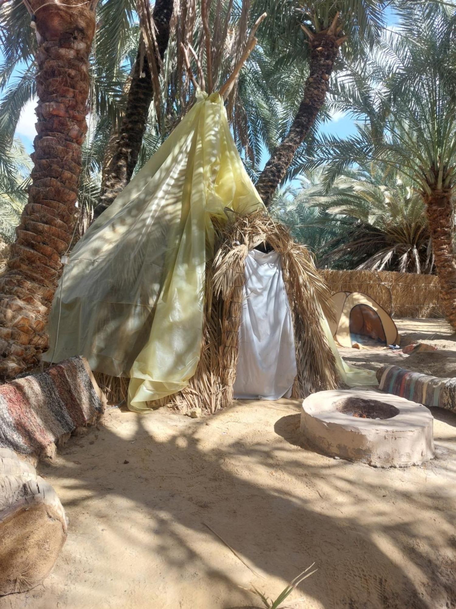 Forest Camp Siwa - كامب الغابة Siwa Oasis Екстериор снимка
