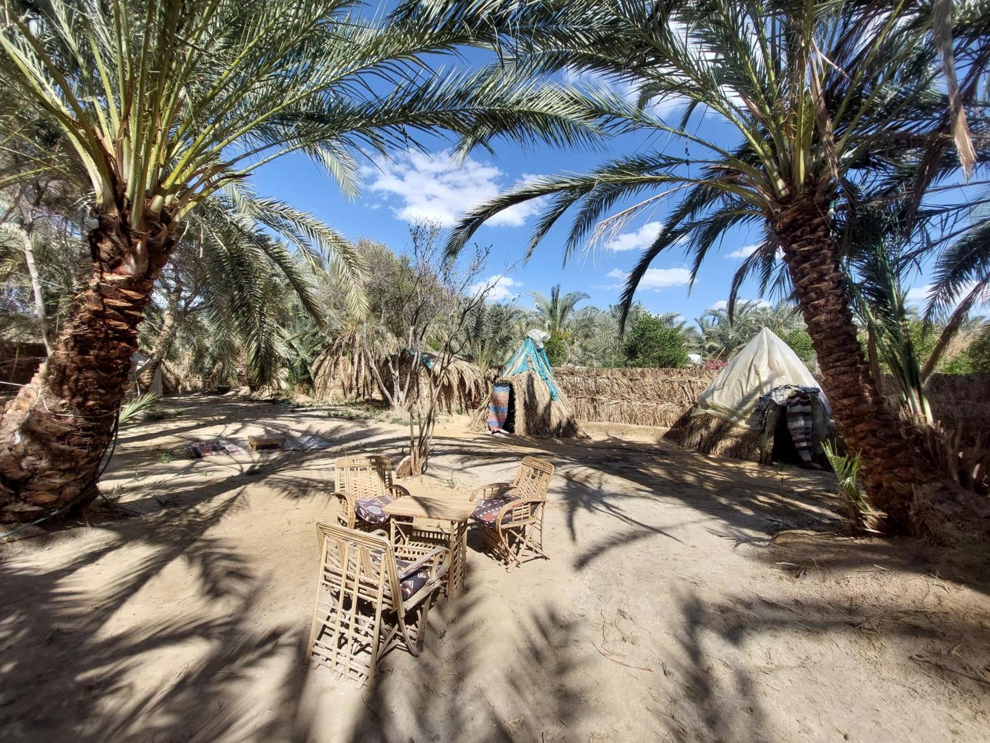 Forest Camp Siwa - كامب الغابة Siwa Oasis Екстериор снимка