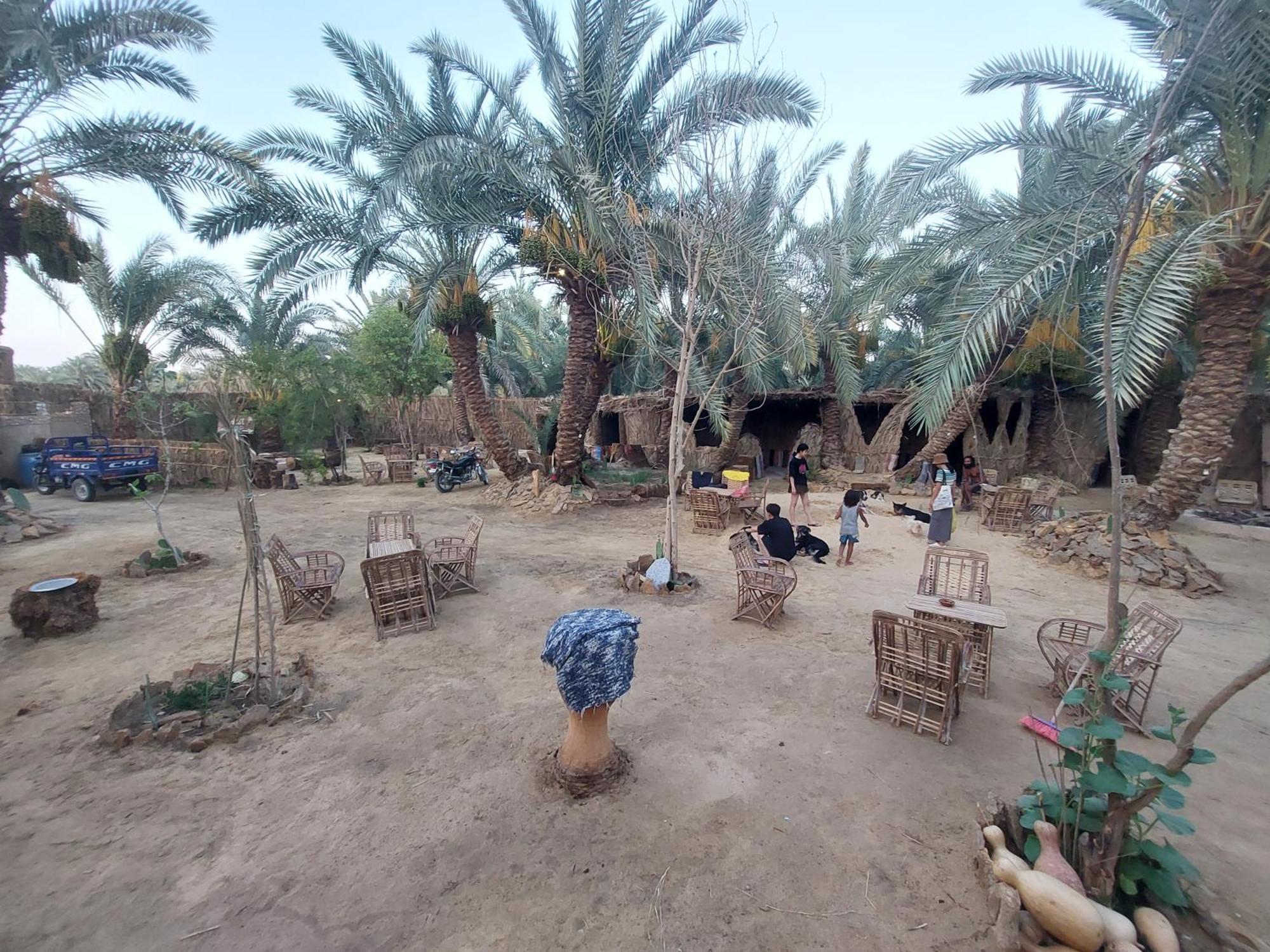 Forest Camp Siwa - كامب الغابة Siwa Oasis Екстериор снимка