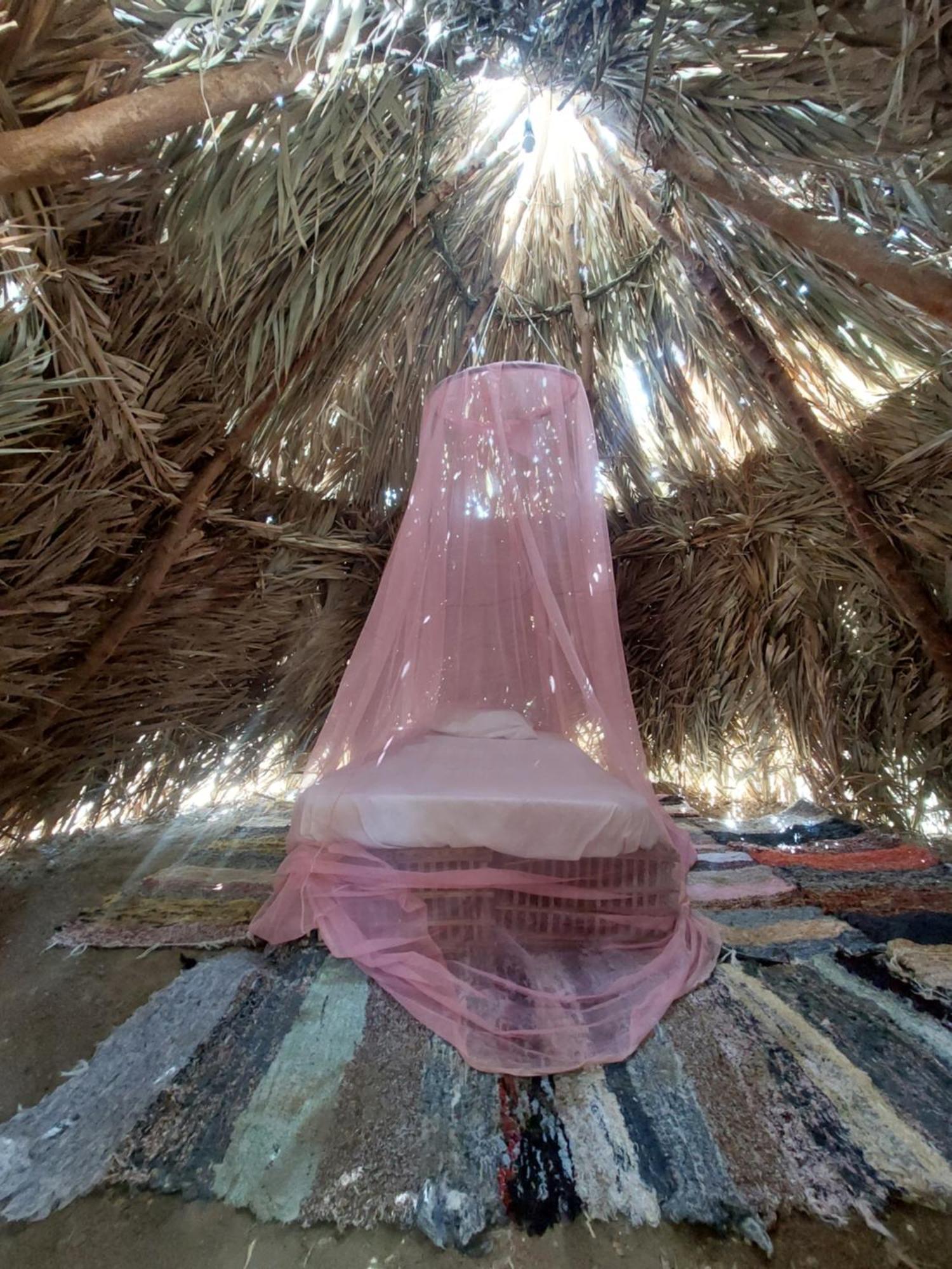 Forest Camp Siwa - كامب الغابة Siwa Oasis Екстериор снимка