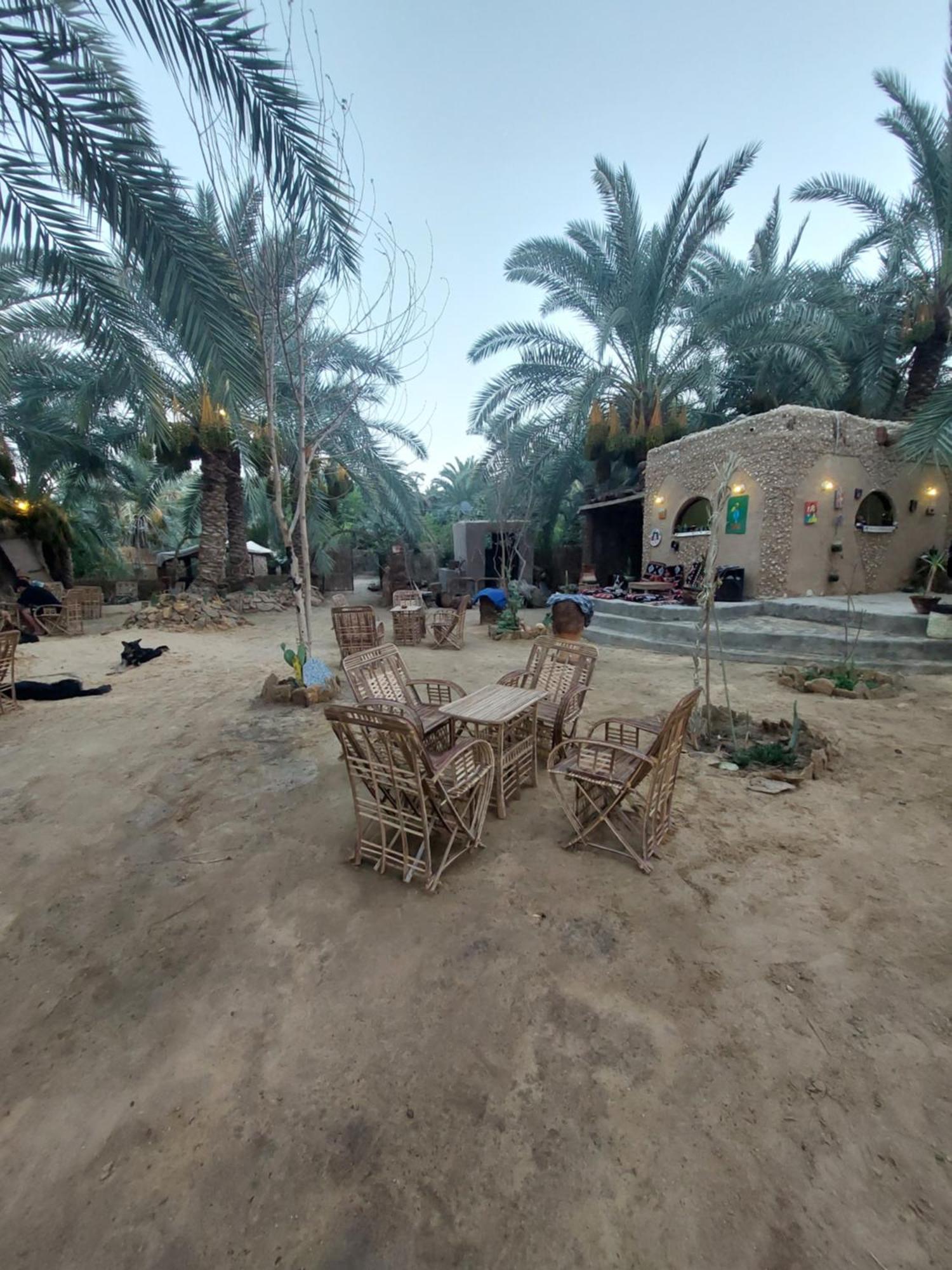 Forest Camp Siwa - كامب الغابة Siwa Oasis Екстериор снимка