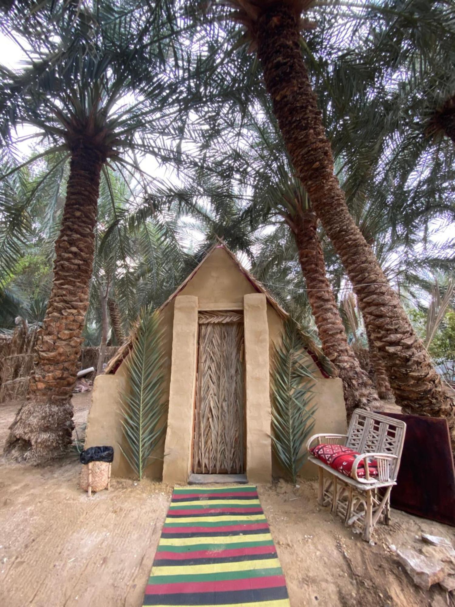 Forest Camp Siwa - كامب الغابة Siwa Oasis Екстериор снимка