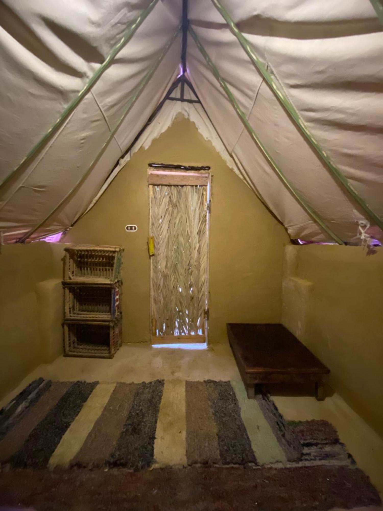 Forest Camp Siwa - كامب الغابة Siwa Oasis Екстериор снимка