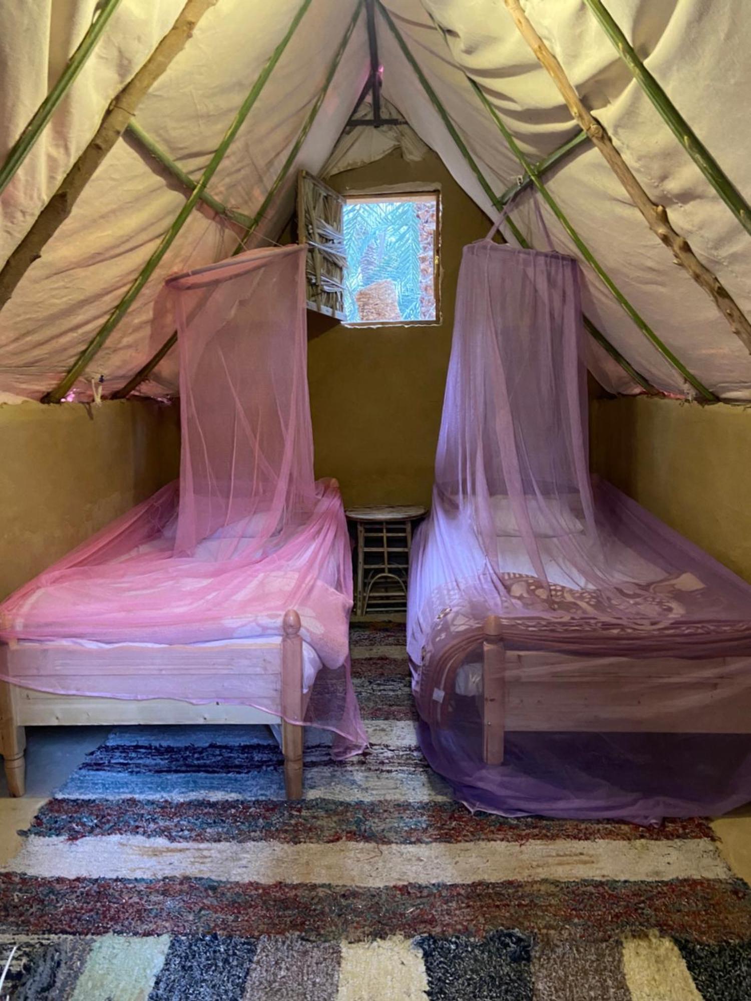 Forest Camp Siwa - كامب الغابة Siwa Oasis Екстериор снимка