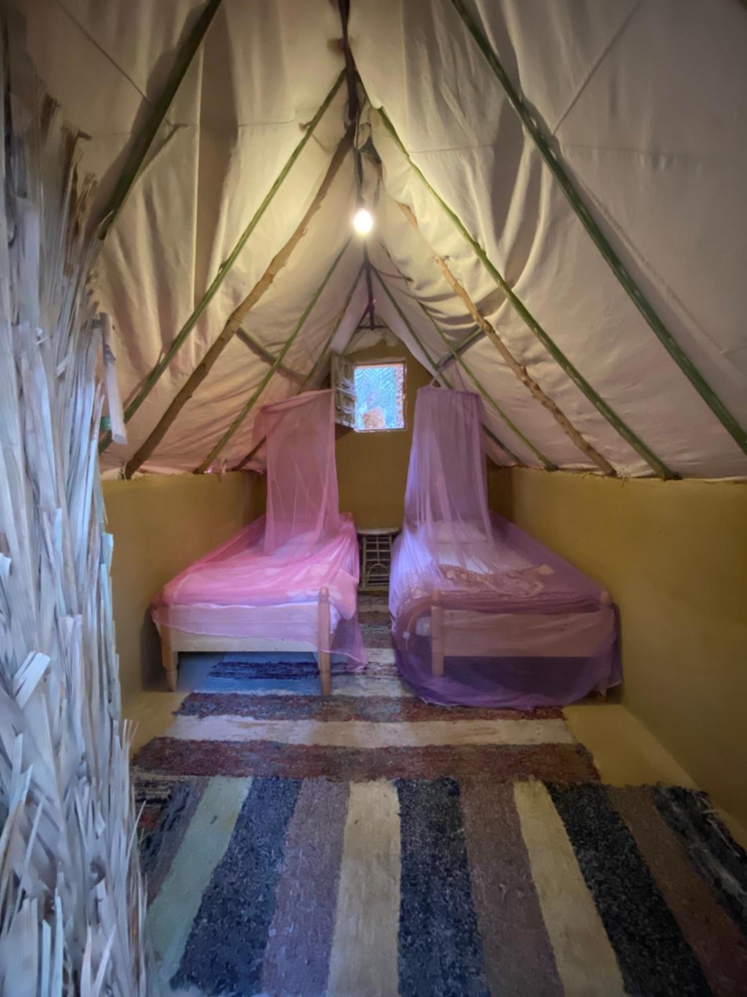 Forest Camp Siwa - كامب الغابة Siwa Oasis Екстериор снимка