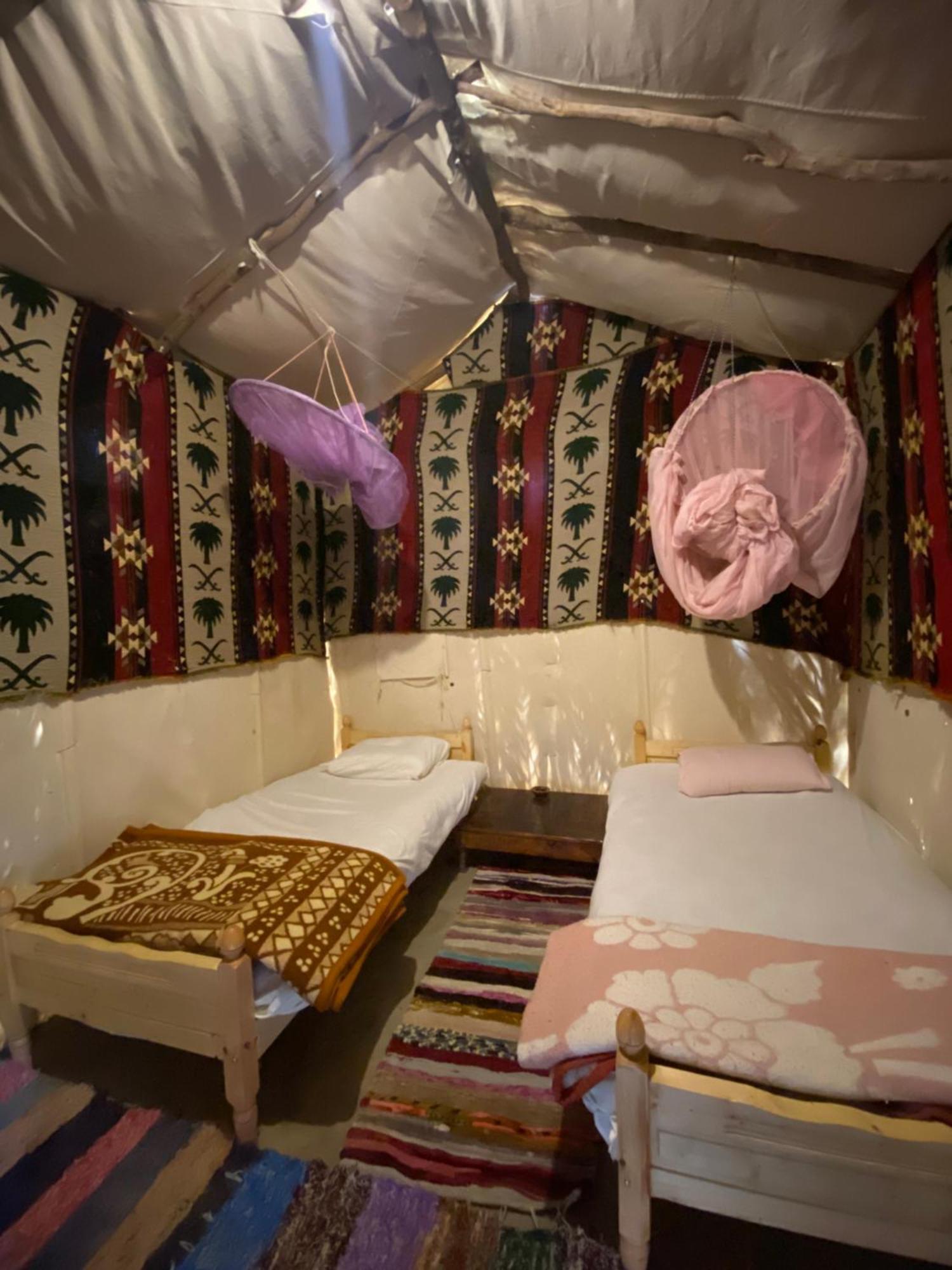 Forest Camp Siwa - كامب الغابة Siwa Oasis Екстериор снимка