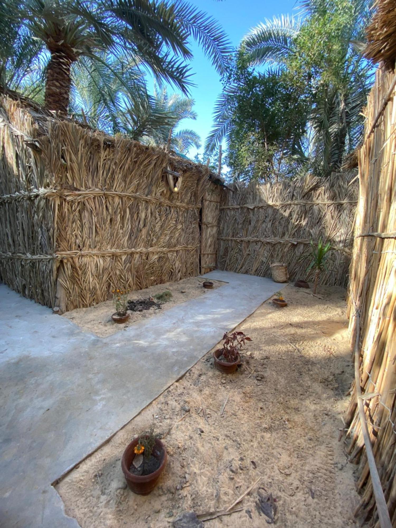 Forest Camp Siwa - كامب الغابة Siwa Oasis Екстериор снимка