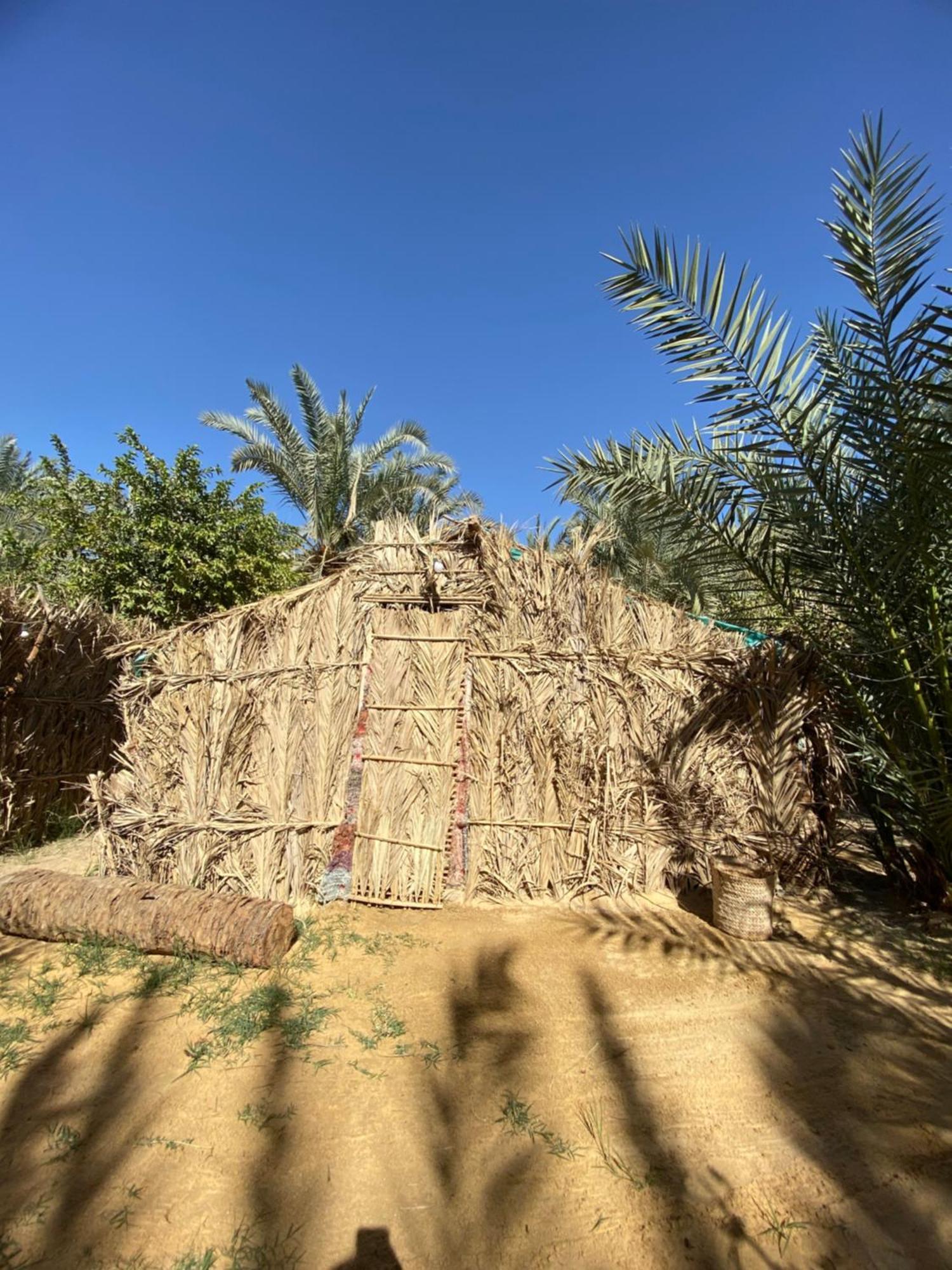 Forest Camp Siwa - كامب الغابة Siwa Oasis Екстериор снимка