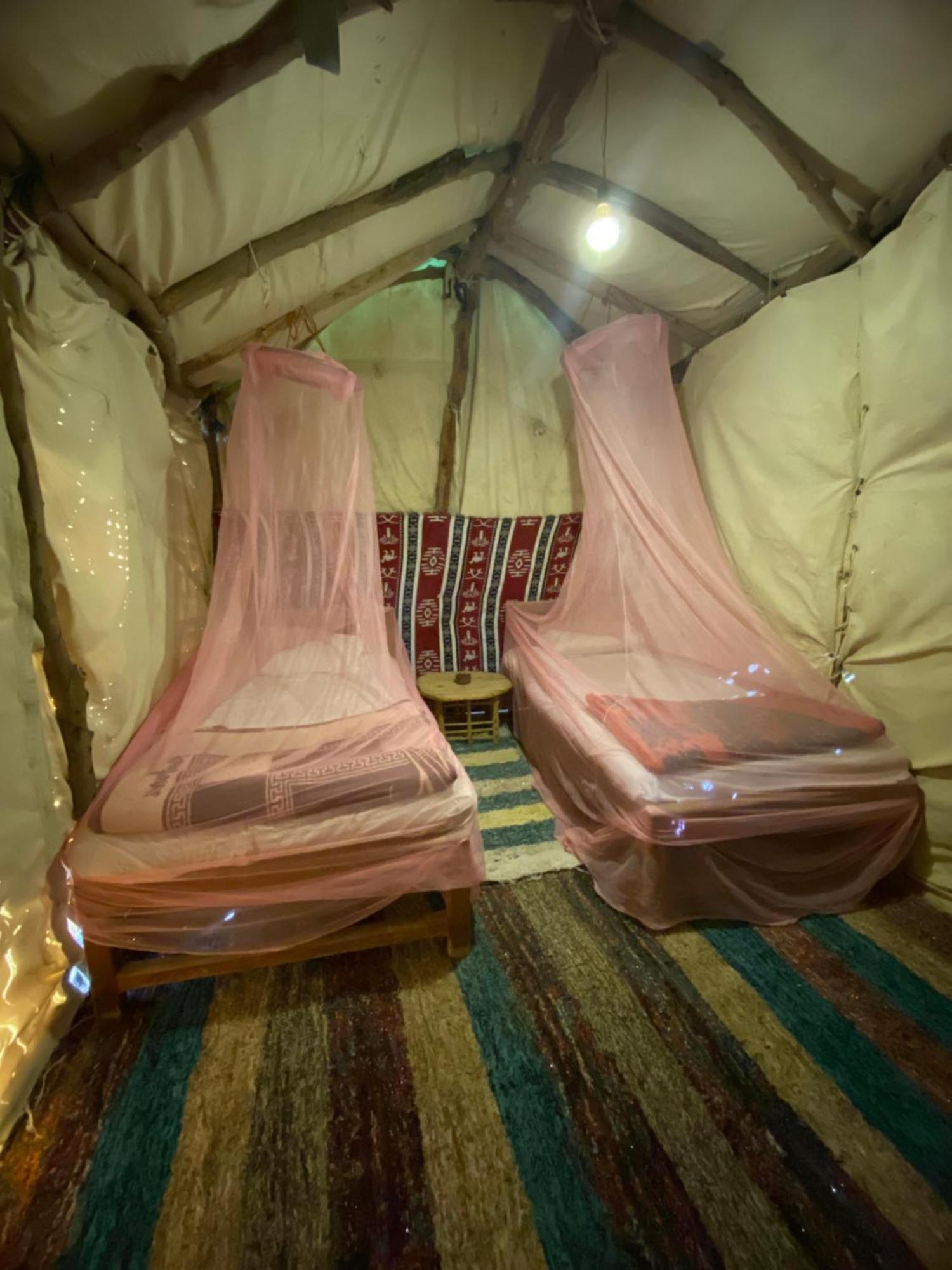 Forest Camp Siwa - كامب الغابة Siwa Oasis Екстериор снимка