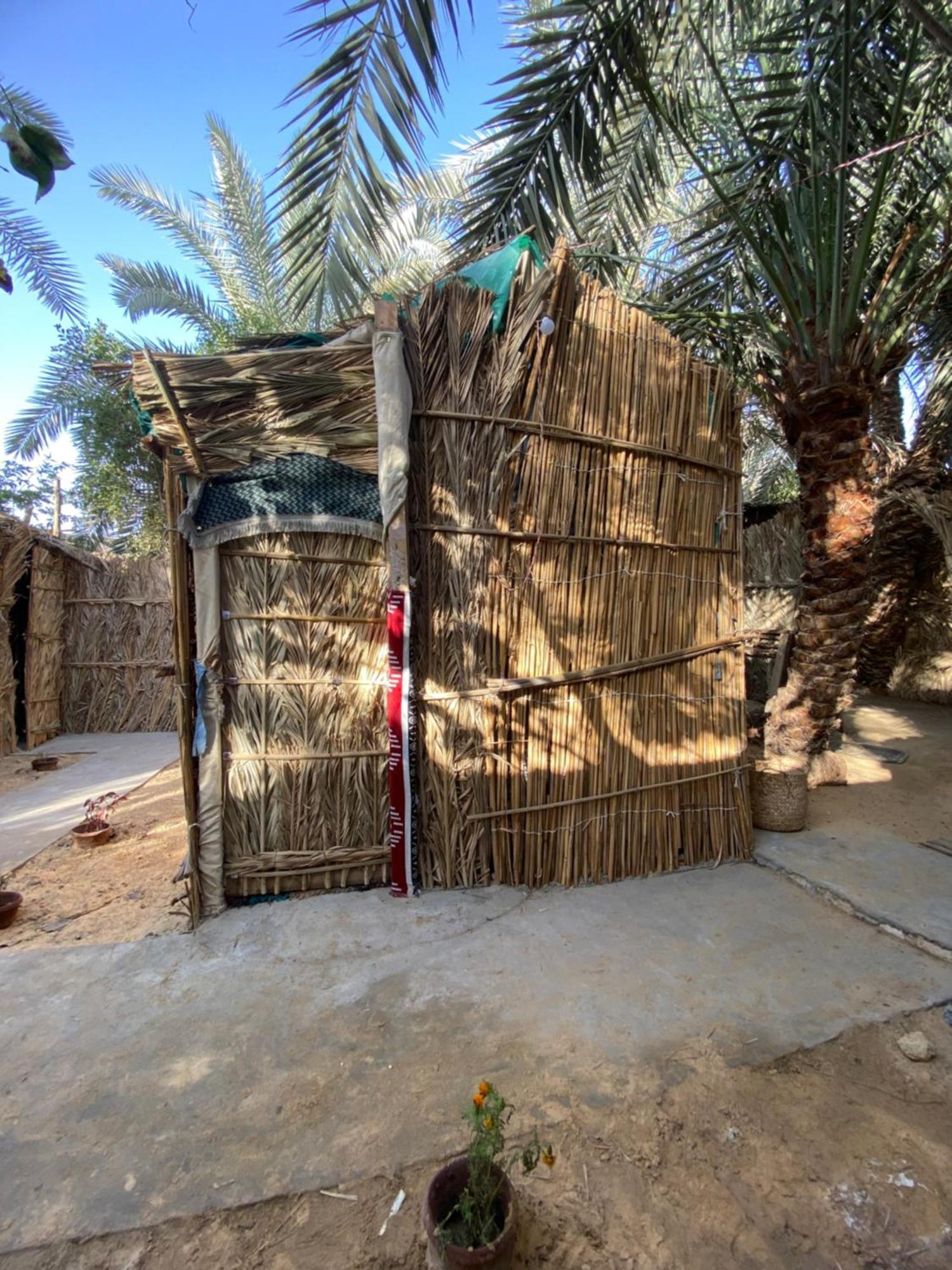 Forest Camp Siwa - كامب الغابة Siwa Oasis Екстериор снимка